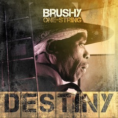 brushy-destiny