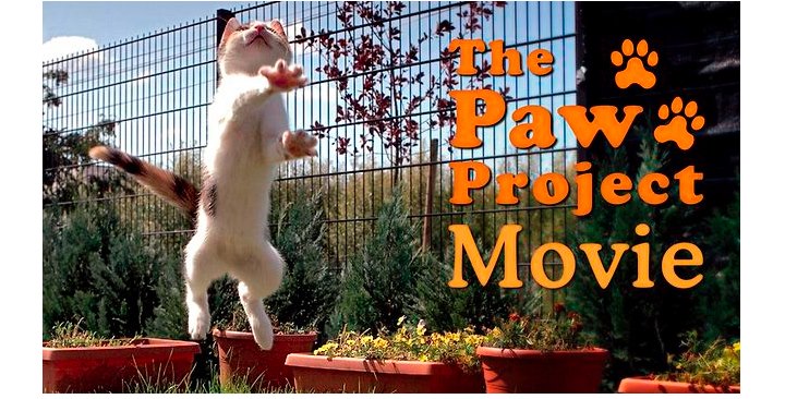 paw-project-movie