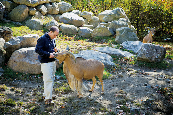 Dr. Vint Virga in his natural habitat: ‘I sometimes feel like I connect with animals a lot easier than I do with people. I’ve always been looking for what is at the root of that, how can I relate to the world, and what is my purpose in it.’