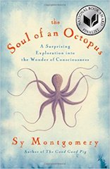 soul-of-octopus