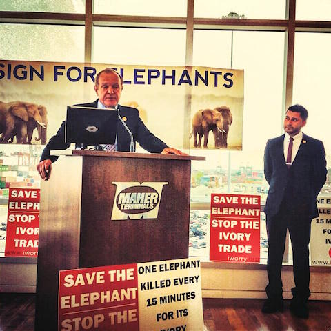 New Jersey State Senator Sen. Raymond J. Lesniak (left) with Assemblyman Raj Mukherji at the Elizabeth Seaport, NJ, this past summer. Both were instrumental in the successful fight to make New Jersey’s full ban of ivory sales a reality. 'I feel that it's a moral issue that we protect animals, and don't treat them cruelly,’ says Sen. Lesniak, ‘and certainly don't do things to destroy their existence on the face of the earth.'