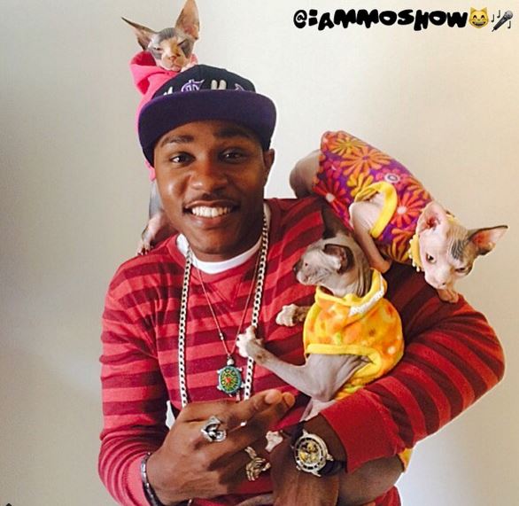 Moshow with his Sphynx sidekicks: ‘I’m just a cat man trying to save the world.’  