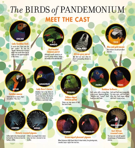 birds-of-pandemonium2