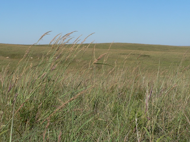 The Willa Cather Memorial Prairie in Webster County, Nebraska