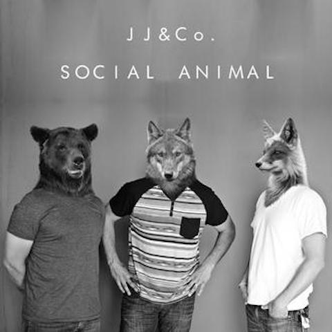 jj-co-social-animal