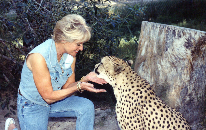 Tippi Hedren with a cheetah at Shamabala Preserve (Photo: Kim Bartlett, Animal People, Inc.)