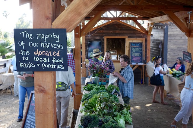 Opening day, April 9, 2016, of Coastal Roots Farm’s ‘pay what you can’ Farm Stand, a new social enterprise that will support the Farm’s mission to ensure that everyone in its community has fair and equal access to local, sustainable food grown using only biodynamic and organic processes. 