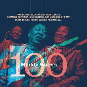 muddy-waters-100