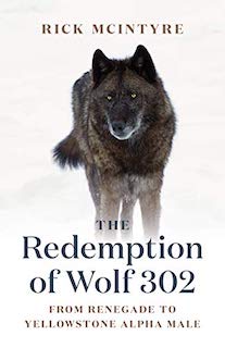 Redemption of Wolf 302 cover featured